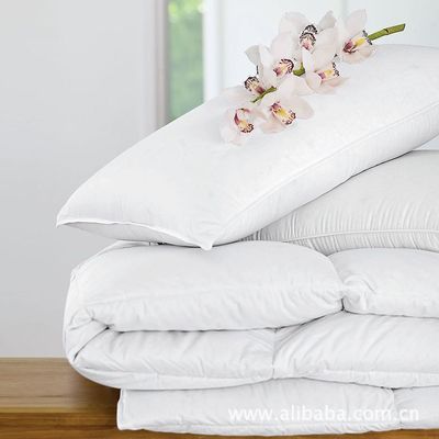【歌登飛 白色羽絨枕芯 保暖性強(qiáng),透氣性好.】?jī)r(jià)格,廠家,圖片,枕頭、枕芯、保健枕,深圳市三鴻羽絨制品(銷售部)-