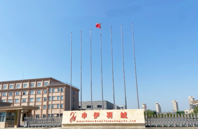 裕安白鵝“向天歌”_六安市裕安區人民政府